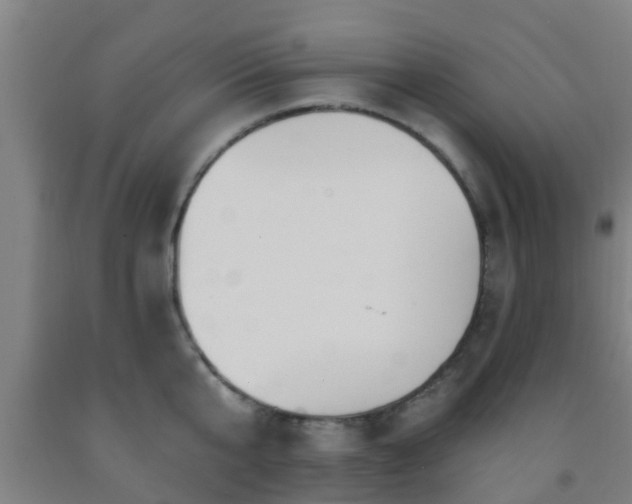 X0000093090807200709261228