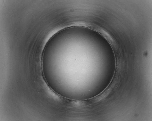 X0000093090808200709261228