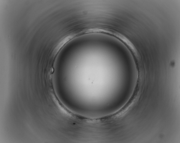 X0000093090809200709261227