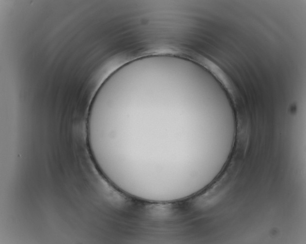 X0000093090810200709261227