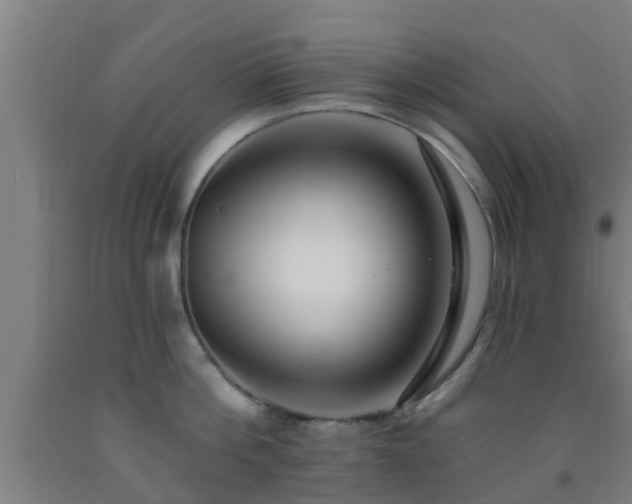 X0000093090812200709261227