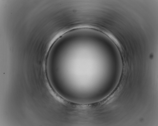 X0000093090813200709261227