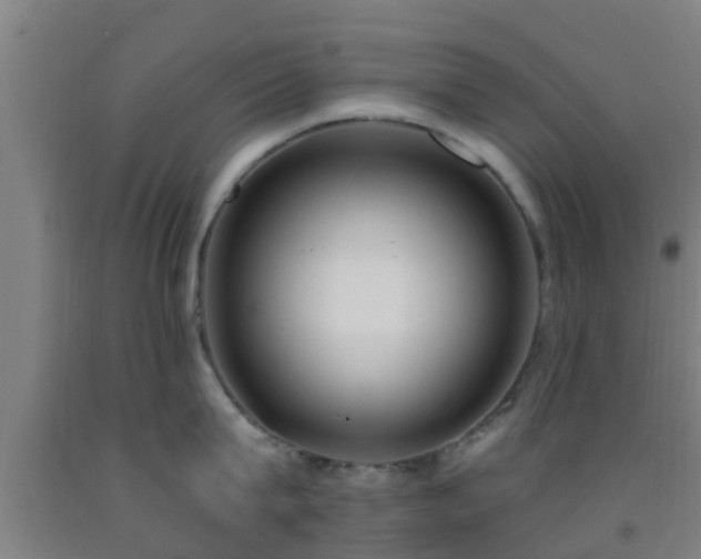 X0000093090815200709261227
