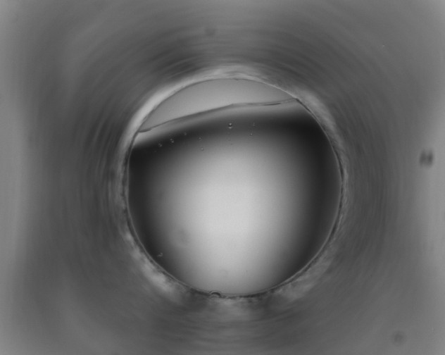 X0000093090816200709261227
