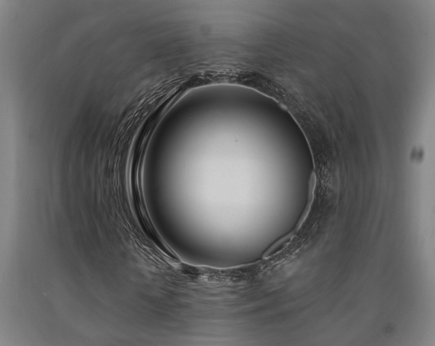X0000093090818200709261227