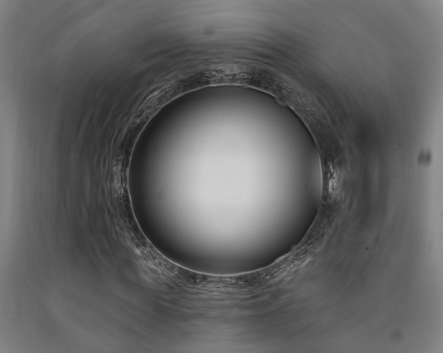 X0000093090819200709261227