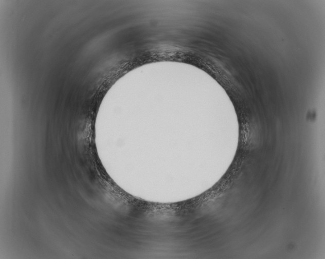 X0000093090820200709261227