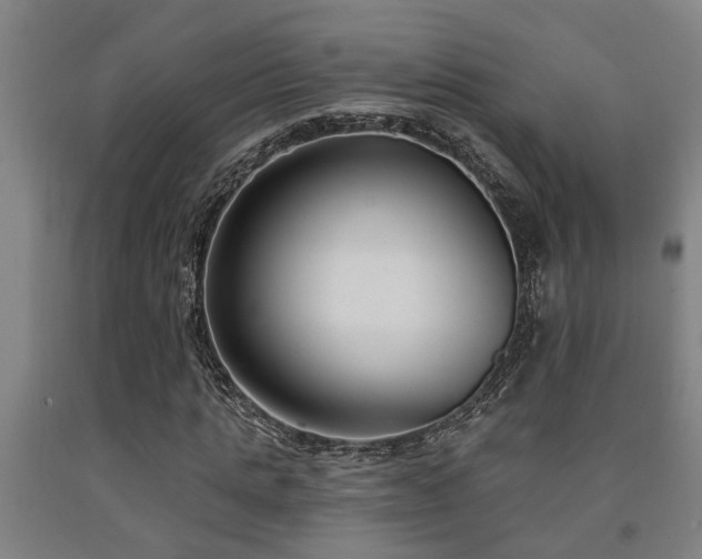 X0000093090821200709261227