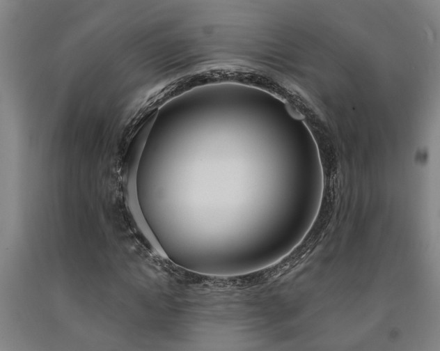 X0000093090822200709261227