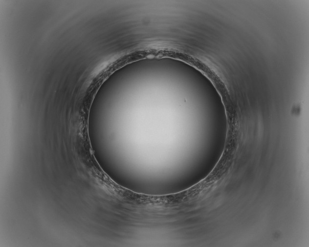 X0000093090823200709261227