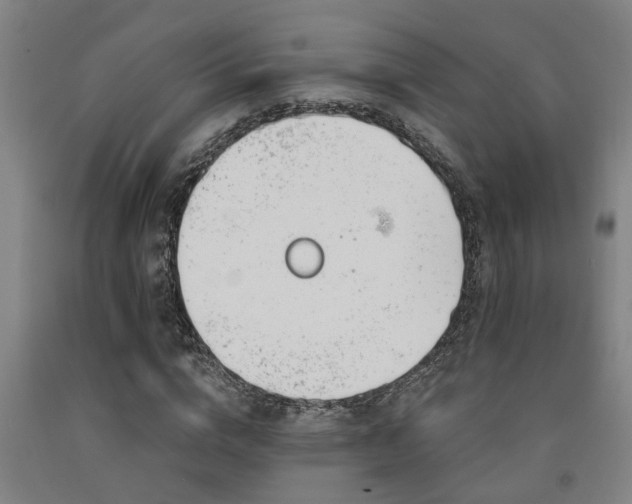 X0000093090824200709261227