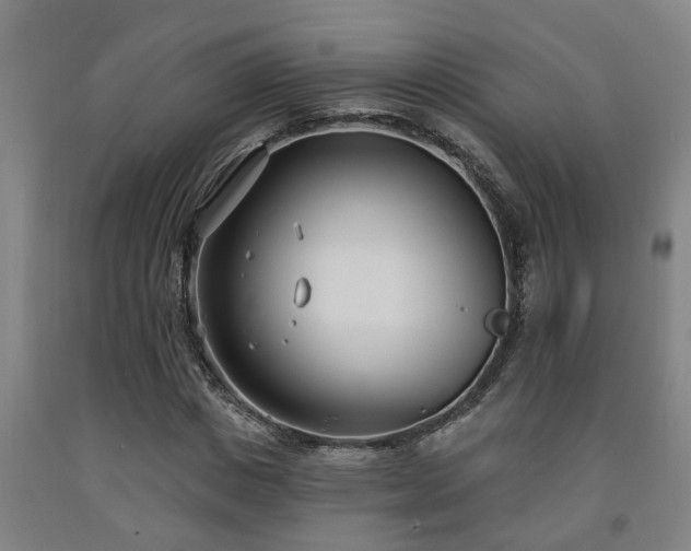 X0000093090825200709261227