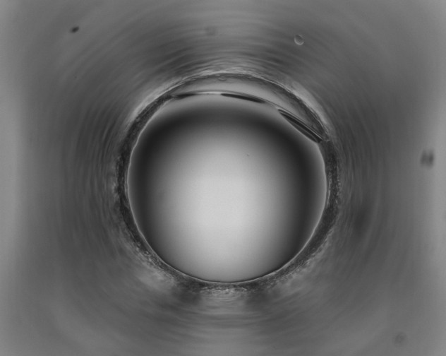 X0000093090826200709261227
