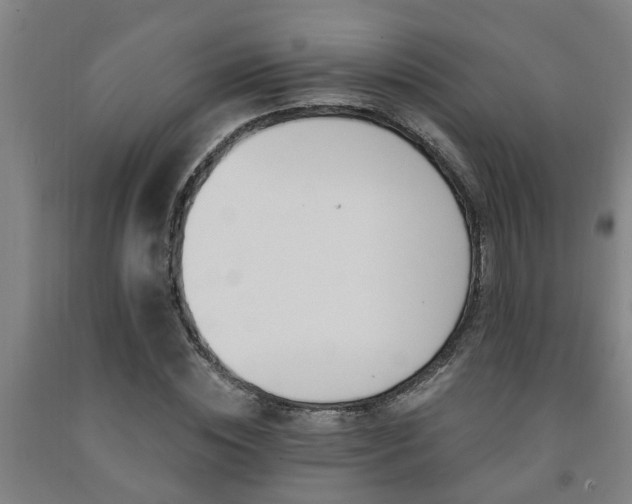 X0000093090828200709261227