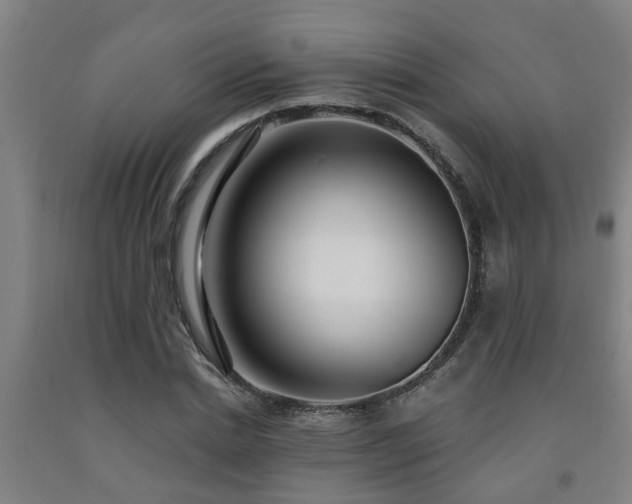 X0000093090830200709261227