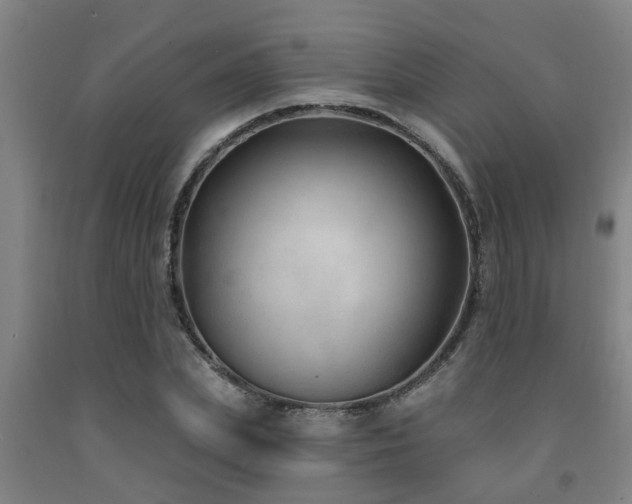 X0000093090831200709261227
