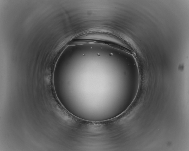 X0000093090833200709261227