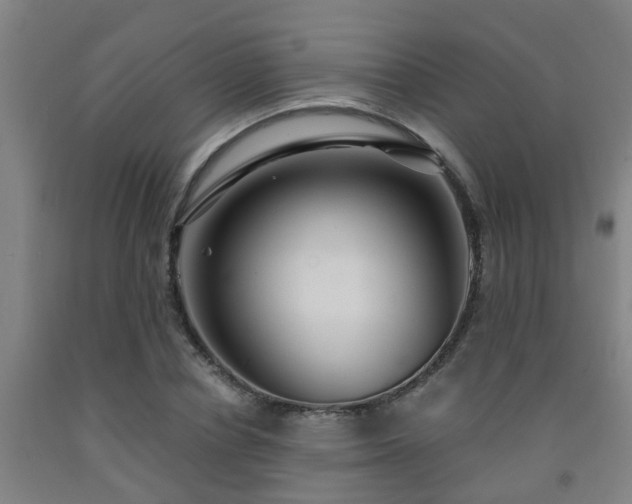X0000093090834200709261227
