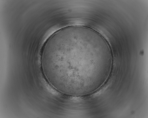 X0000093090835200709261227