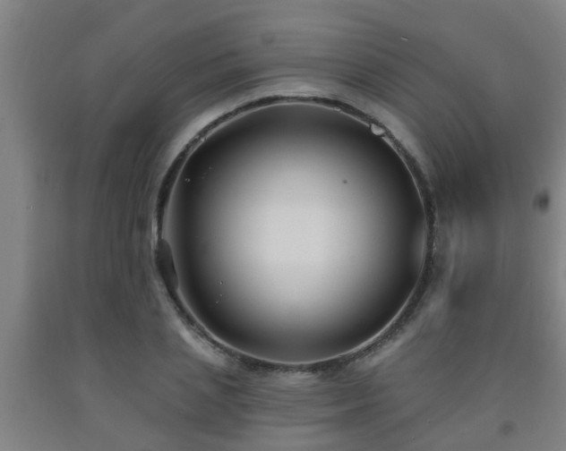X0000093090837200709261227