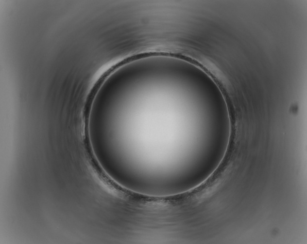 X0000093090838200709261227