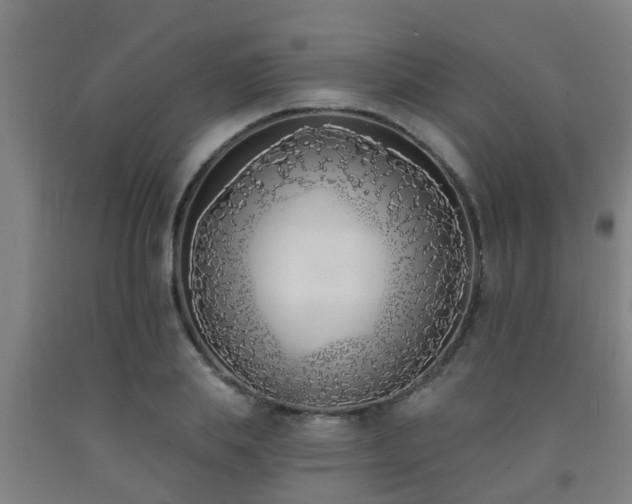X0000093090839200709261227