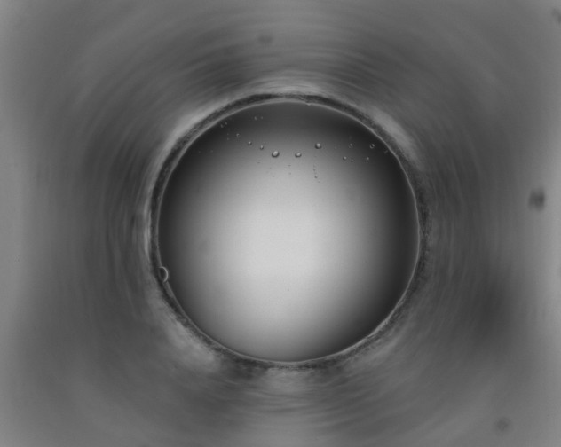 X0000093090840200709261227