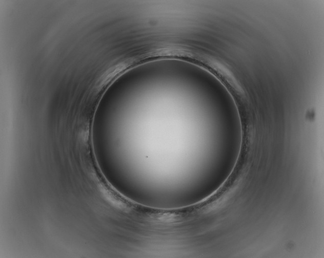 X0000093090841200709261227