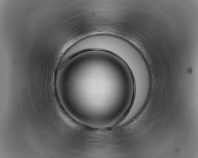 X0000093090842200709261227