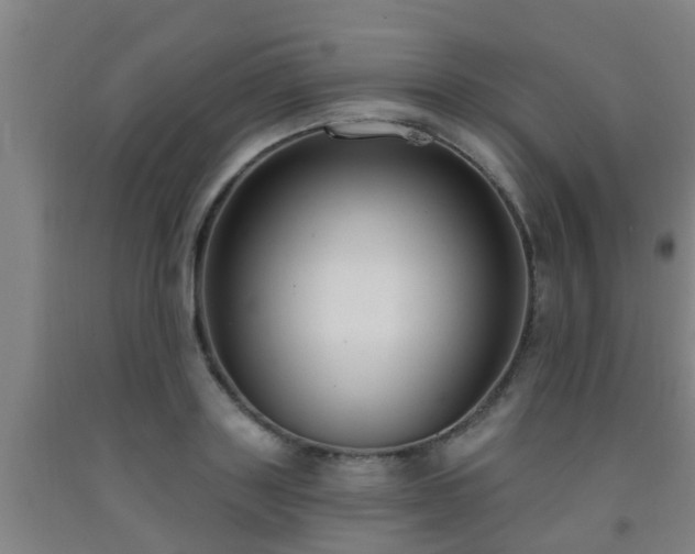X0000093090843200709261227