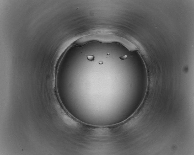 X0000093090844200709261227