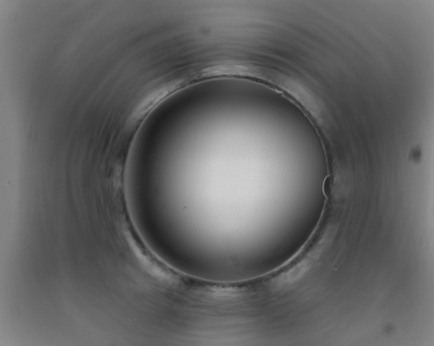 X0000093090849200709261227