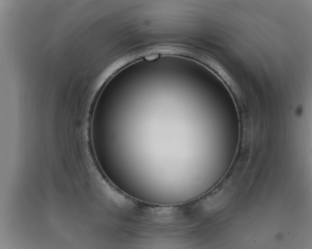 X0000093090853200709261227