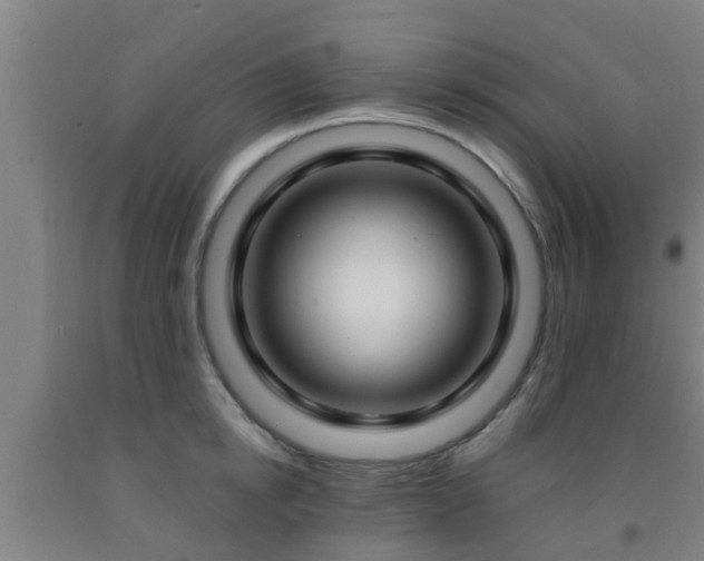 X0000093090854200709261227