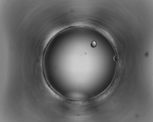 X0000093090855200709261227