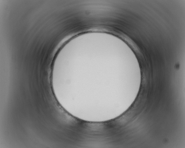 X0000093090856200709261227