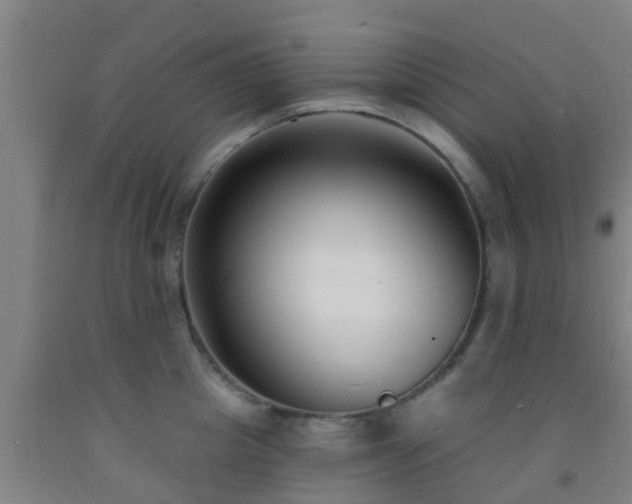 X0000093090857200709261227