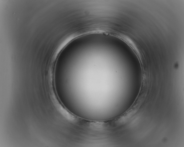 X0000093090859200709261227