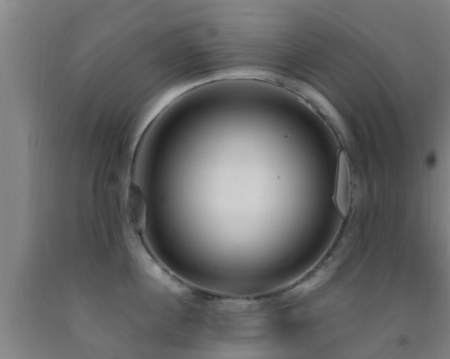 X0000093090860200709261227