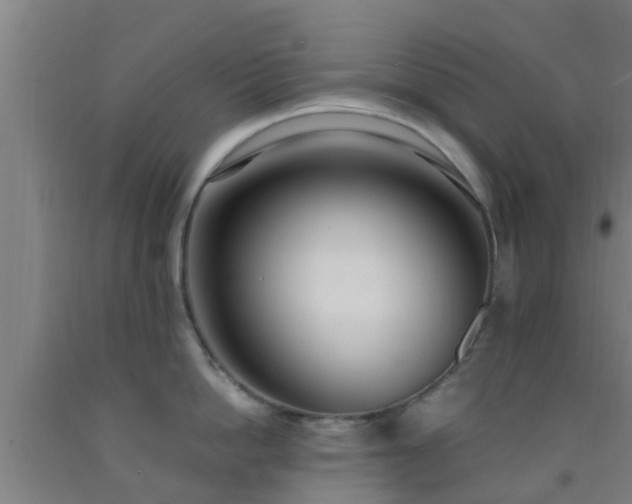 X0000093090862200709261227