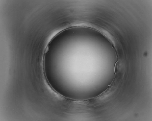 X0000093090863200709261227