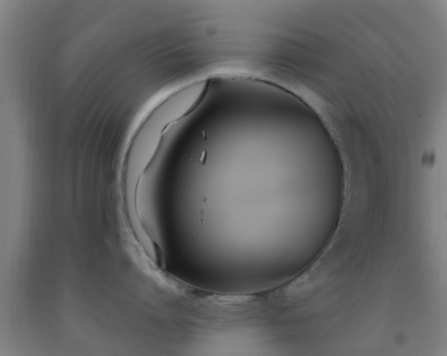 X0000093090864200709261227