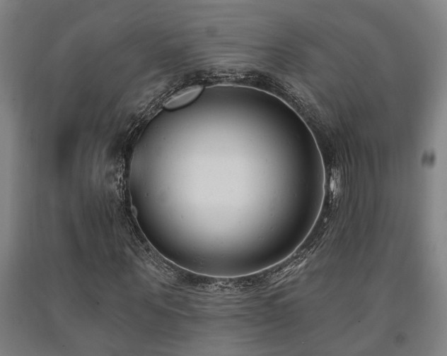 X0000093090867200709261227