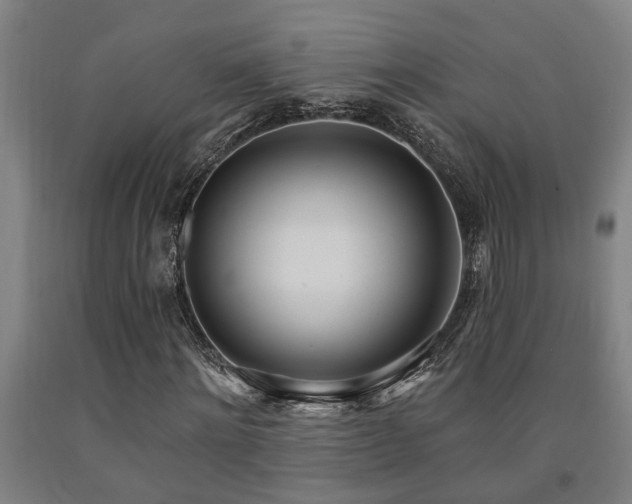 X0000093090868200709261227