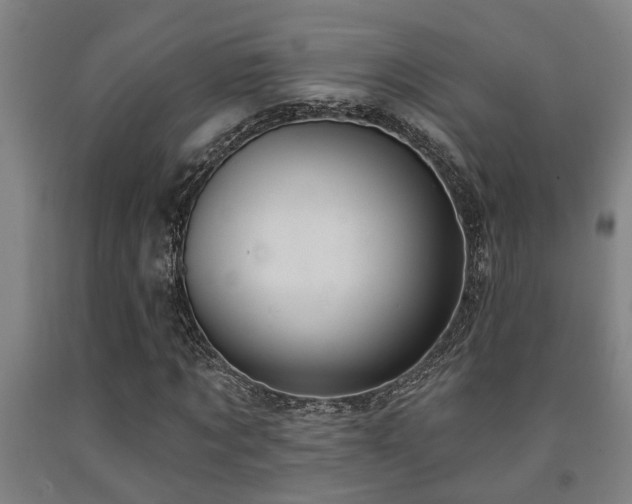 X0000093090869200709261227