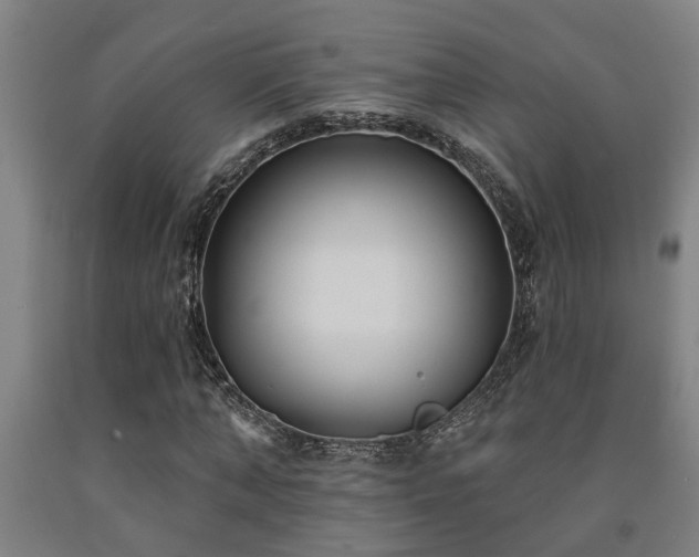 X0000093090870200709261227