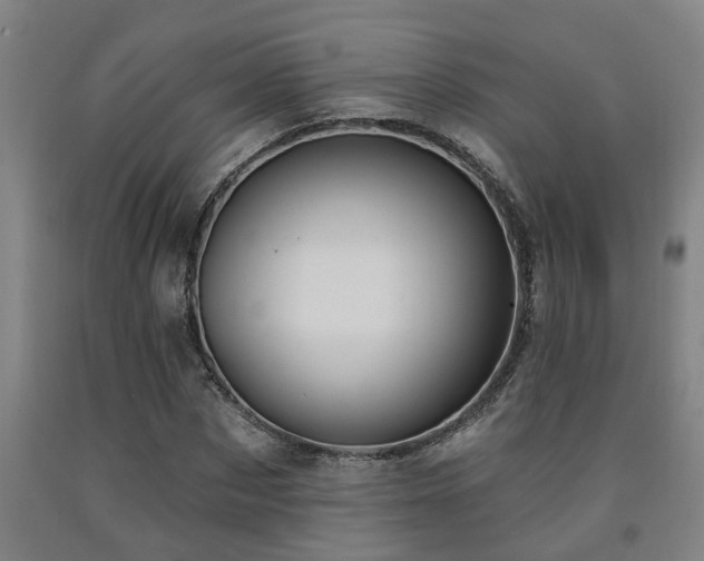 X0000093090873200709261227