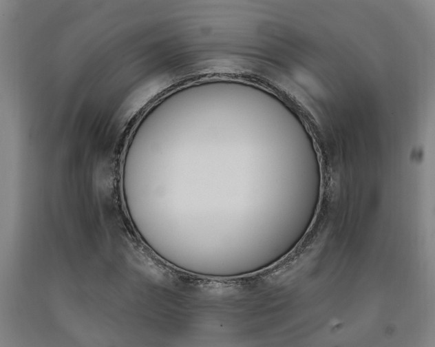 X0000093090874200709261227