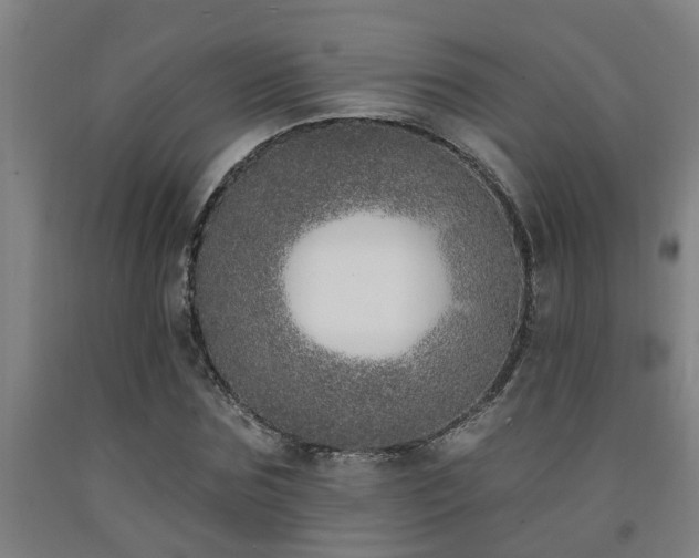 X0000093090875200709261227