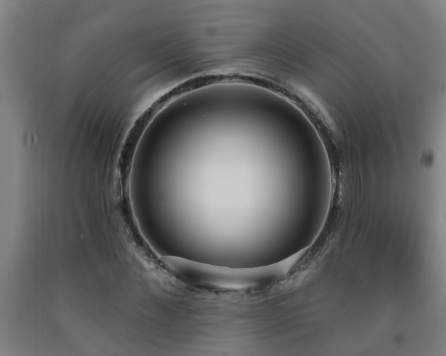 X0000093090876200709261227